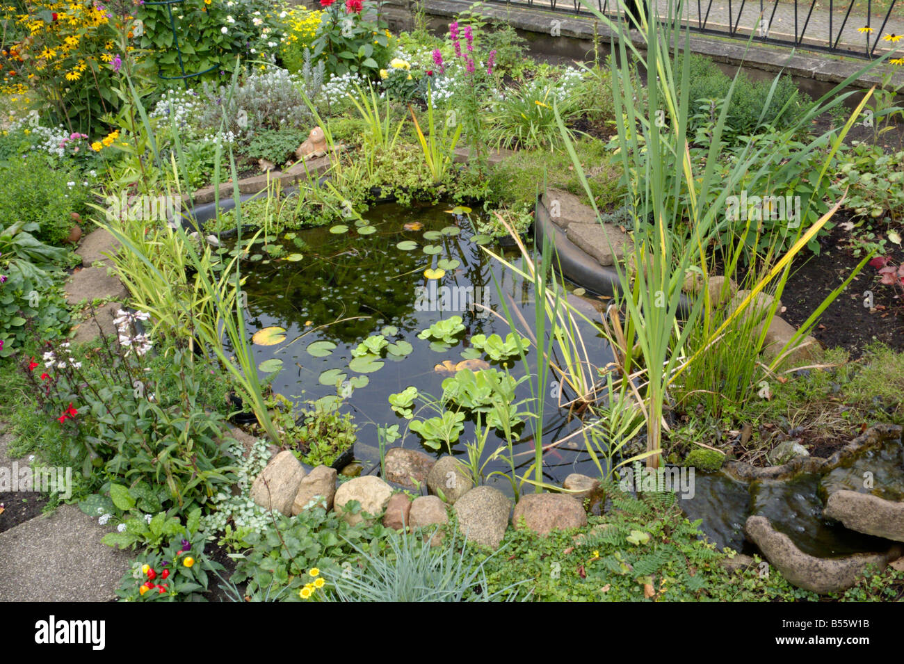 Kleiner Garten Teich Stockfoto