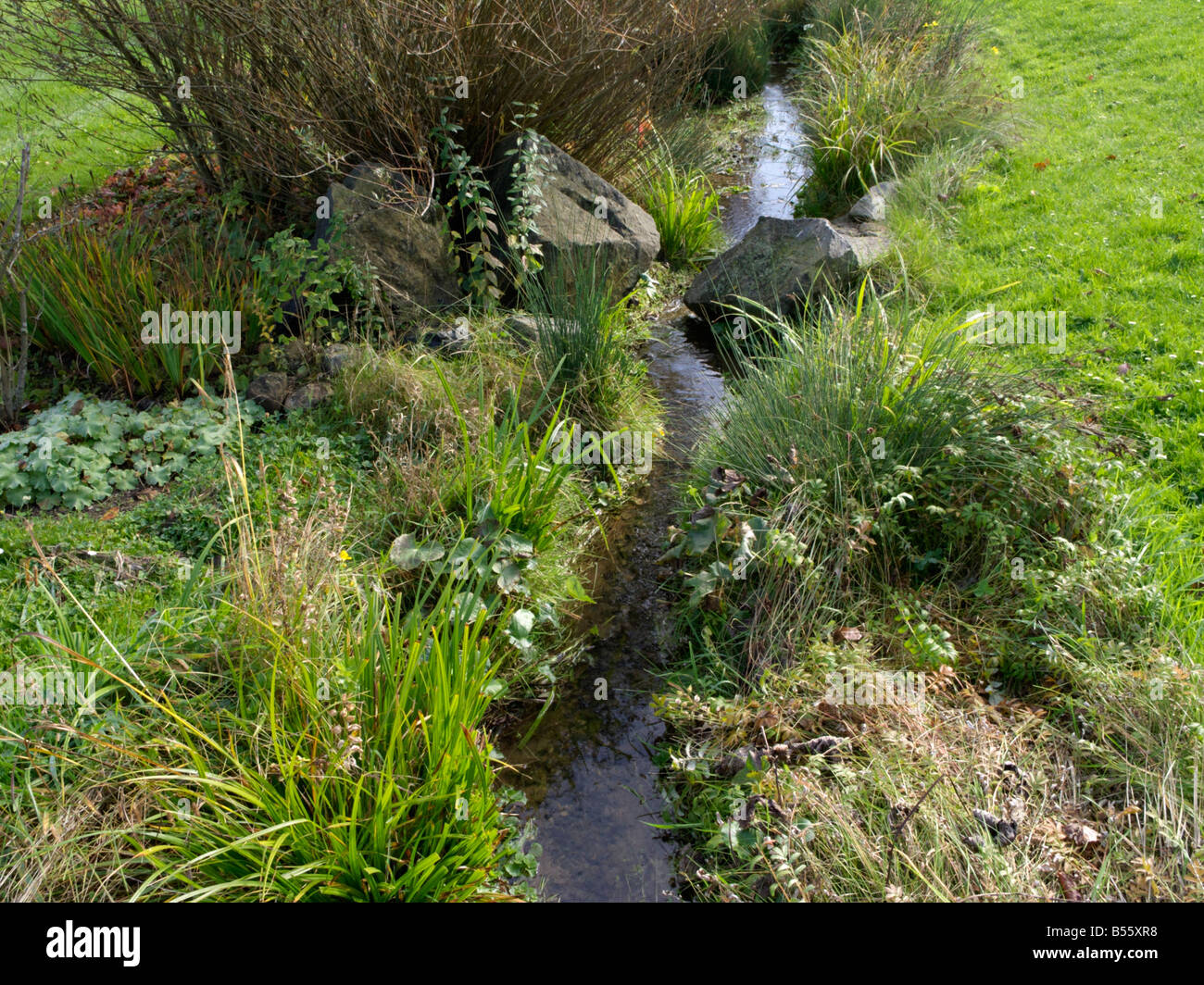 Naturnaher Bach in einem Garten Stockfoto