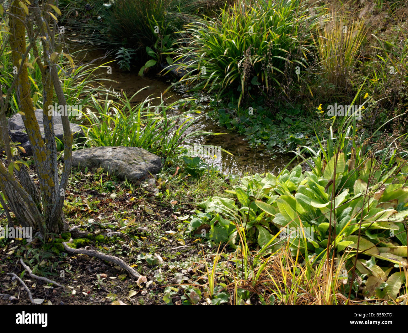Naturnaher Bach in einem Garten Stockfoto