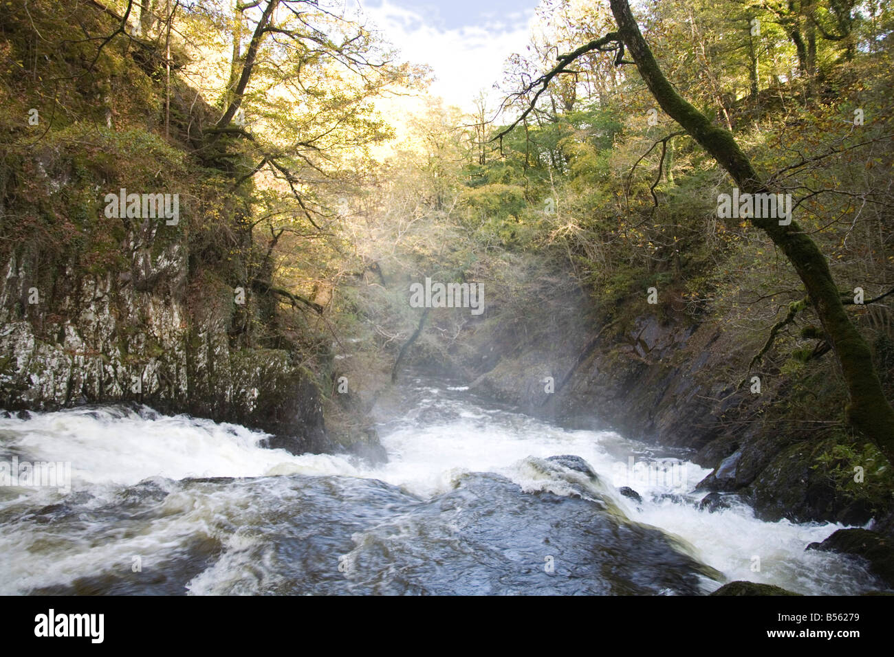 Betws-y-Coed Conwy North Wales UK Oktober Herbstfärbung umgeben den Fluss Llugwy mit Spray steigt Stockfoto