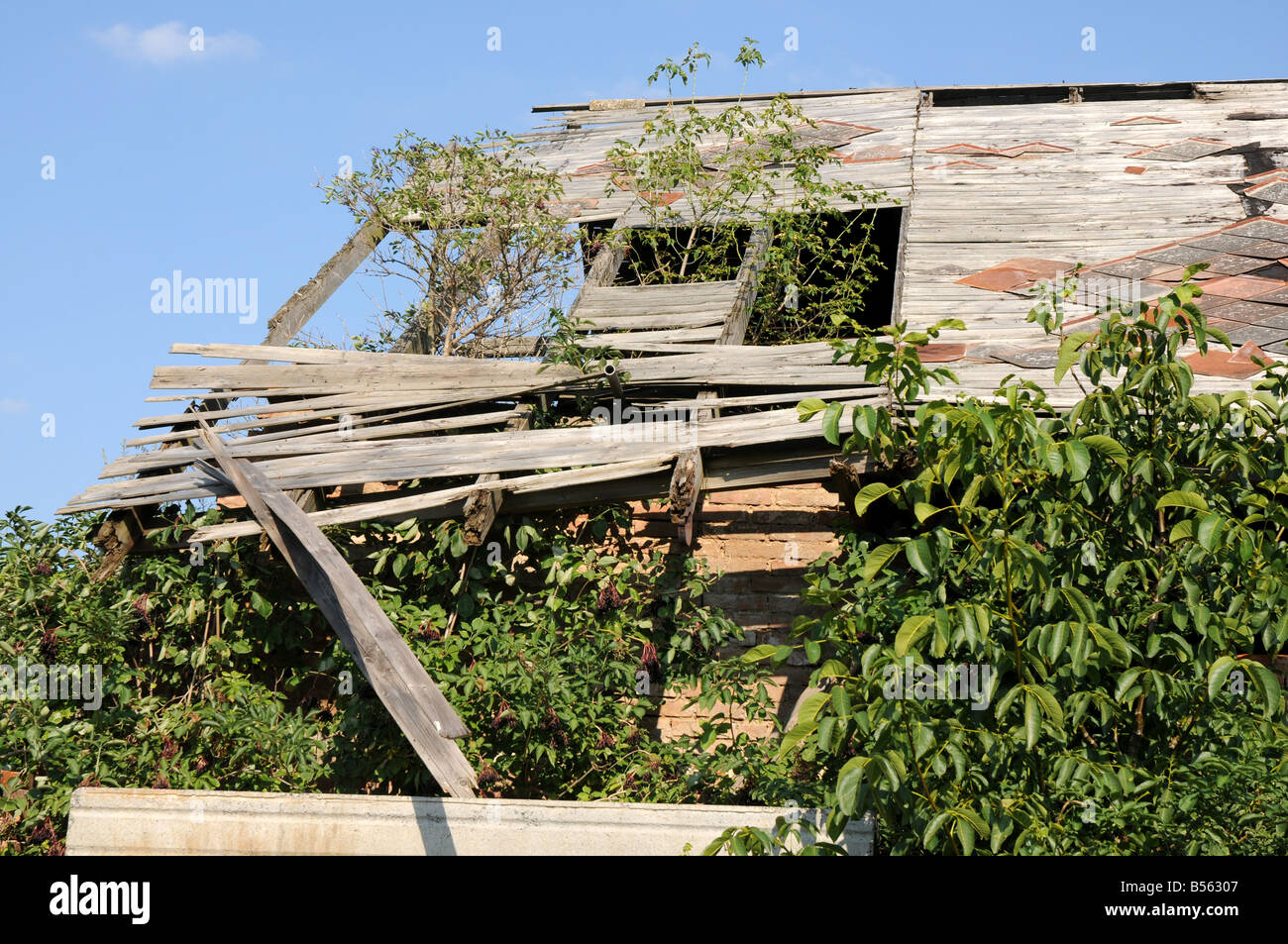 Zerstörten löchrige Dach von einem alten verlassenen Kuhstall. Stockfoto