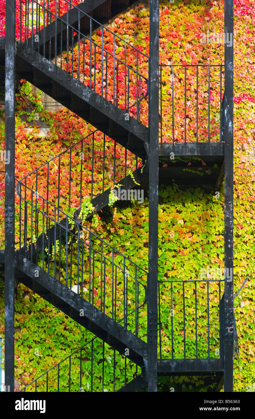 London-Herbst Stockfoto