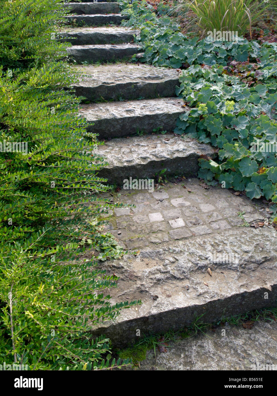 Treppe in einem Garten Stockfoto