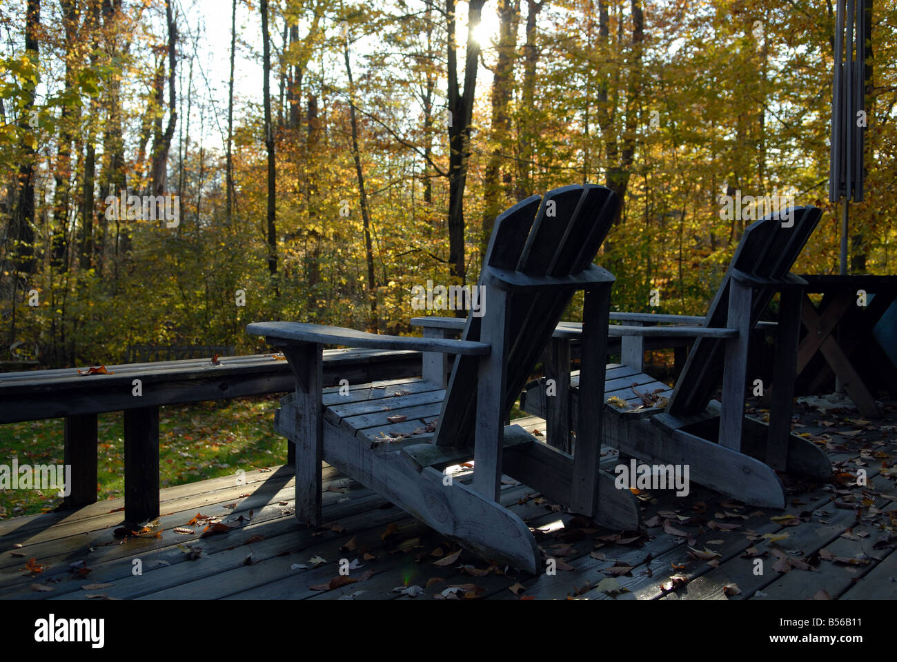 Adirondack/Muskoka Stühle an Zeder-Deck mit Herbst Blätter auf den Bäumen. Stockfoto