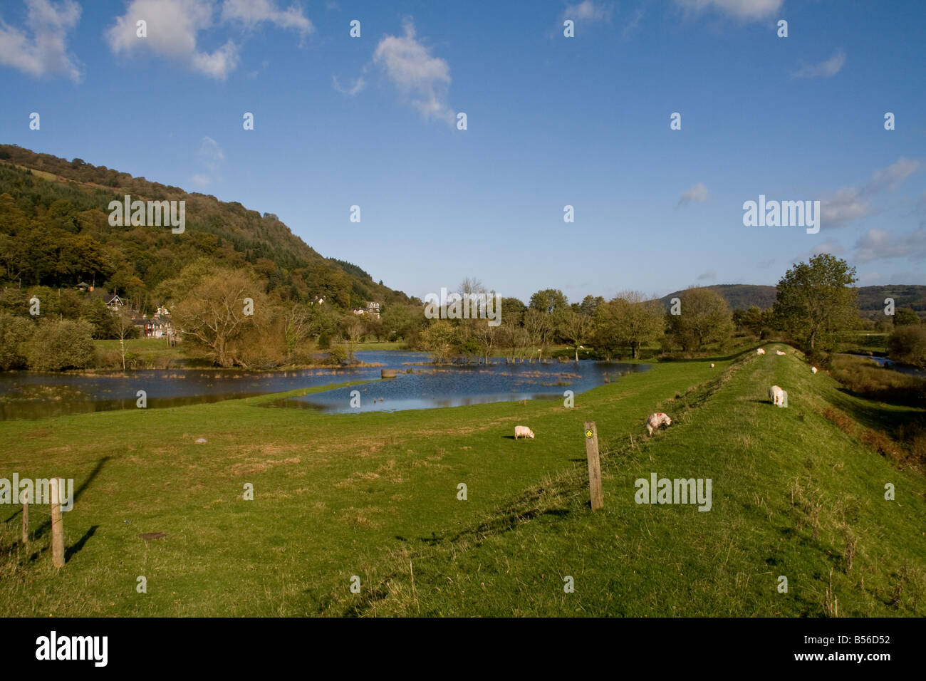 Feuchtgebiet neben der Trefriw Cob-Erde-Hochwasserschutz Stockfoto