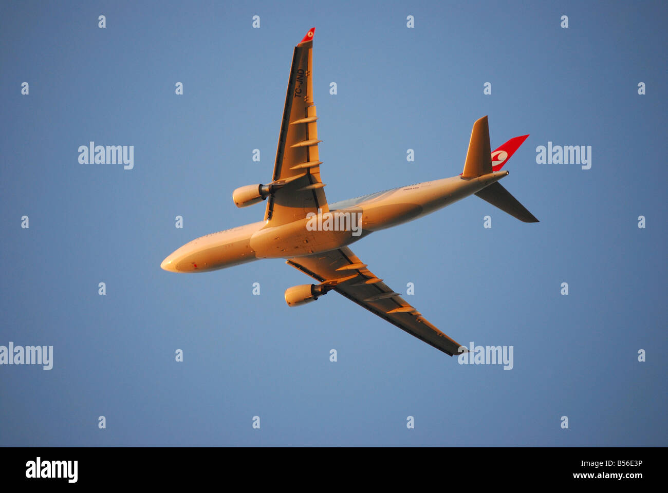 Turkish Airlines Airbus A330 Flugzeug abheben, Heathrow Airport, Greater London, England, Vereinigtes Königreich Stockfoto