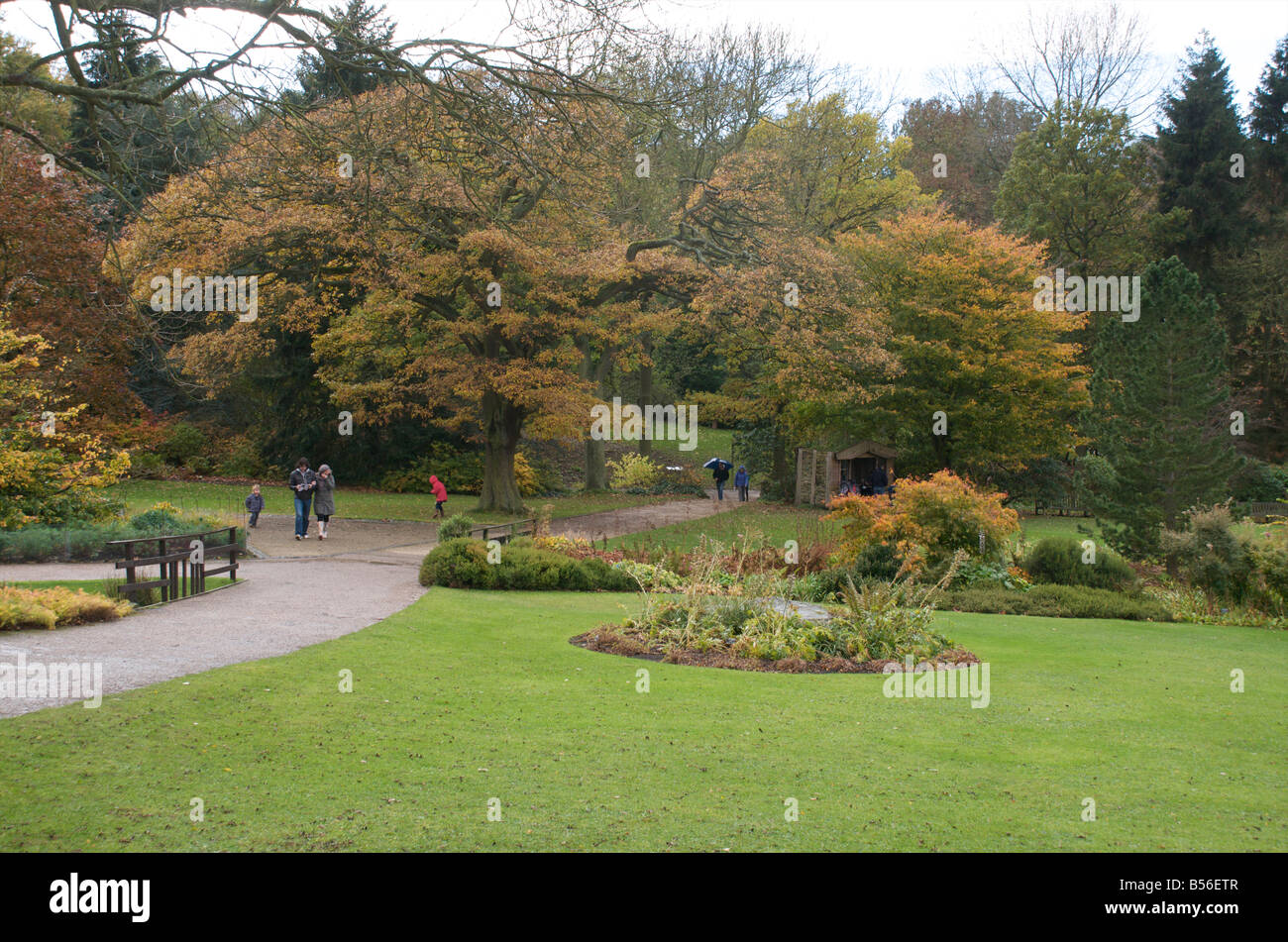 RHS Harlow Carr Gärten in Harrogate, Großbritannien Stockfoto