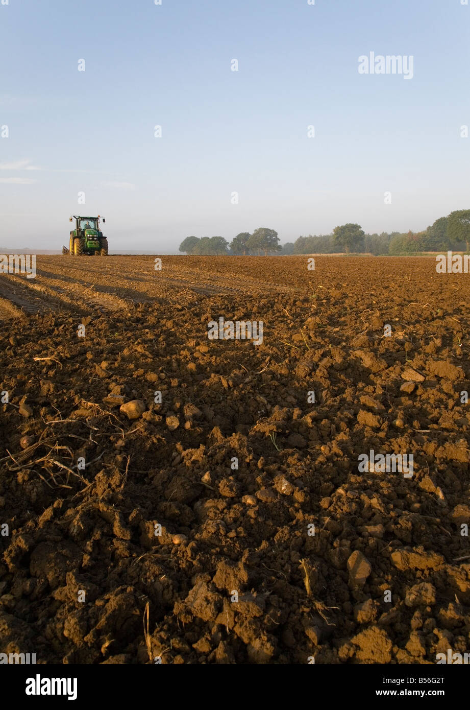Traktor-Sub Verschmutzung ein Feld im frühen Morgennebel Stockfoto