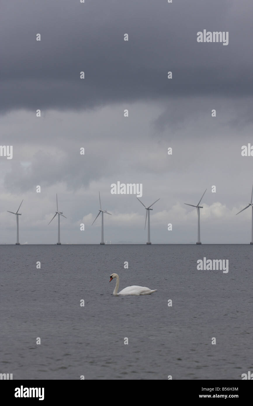 Middelgrunden Windenergieanlage off Shore Wind Farm Dänemark in der Nähe von Copenhagen. Blick von Amager Stockfoto