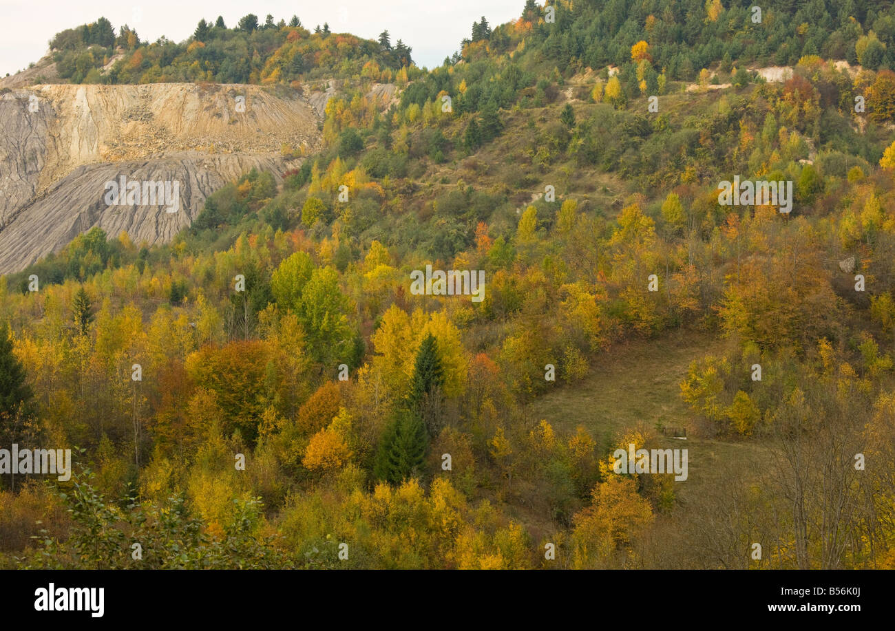 Rosia Montana in den Bergen Metaliferi; Altgold funktionieren jetzt vorgeschlagenen Standort von Europas größten Tagebau Gold Mine, Rumänien Stockfoto