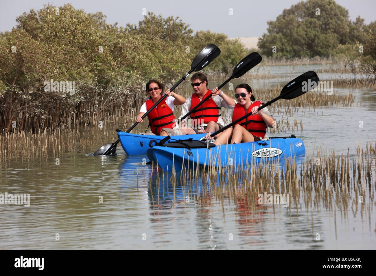 Kajak Tour im privaten Wildreservat Sir Bani Yas Insel im Persischen Golf in der Nähe von Abu Dhabi Vereinigte Arabische Emirate Stockfoto