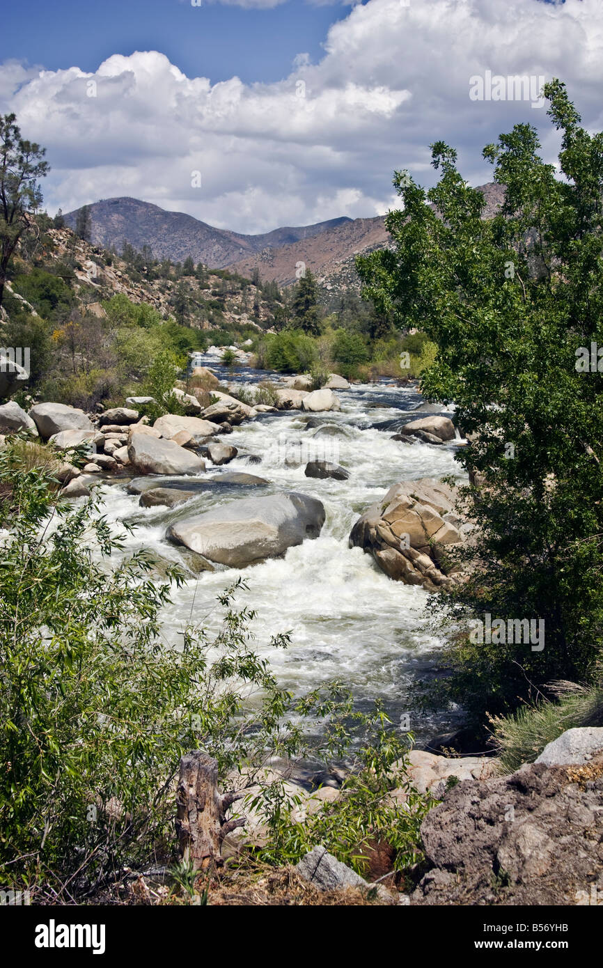 Colorado River in den USA vertikale erschossen Stockfoto