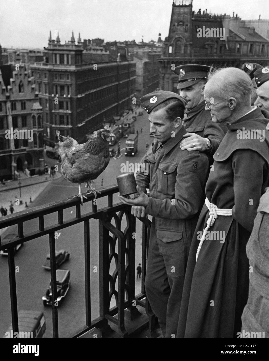 ZWEITEN Weltkriegs Heimatfront: Bruder Douglas, der Kaplan des Westminster YMCA Hostel auf dem Gelände des alten Westminster Hospital. Hat auf dem Dach des Hostels, einige Hühner und kleine Box Garten wo er wächst, Zwiebeln, Salat, etc.. Er hat eine besondere Huhn eine weibliche Blondine, Blondine, der Seil-Walker, genannt, weil jedes Mal, wenn es auf dem Dach kommt sie auf der Schiene fliegt und auf ihn wartet zu füttern. Es gibt ein großen Tropfen auf den Boden und sobald Blondine ihr Fundament verpasst und flog direkt nach unten in die Fahrbahn Stockfoto