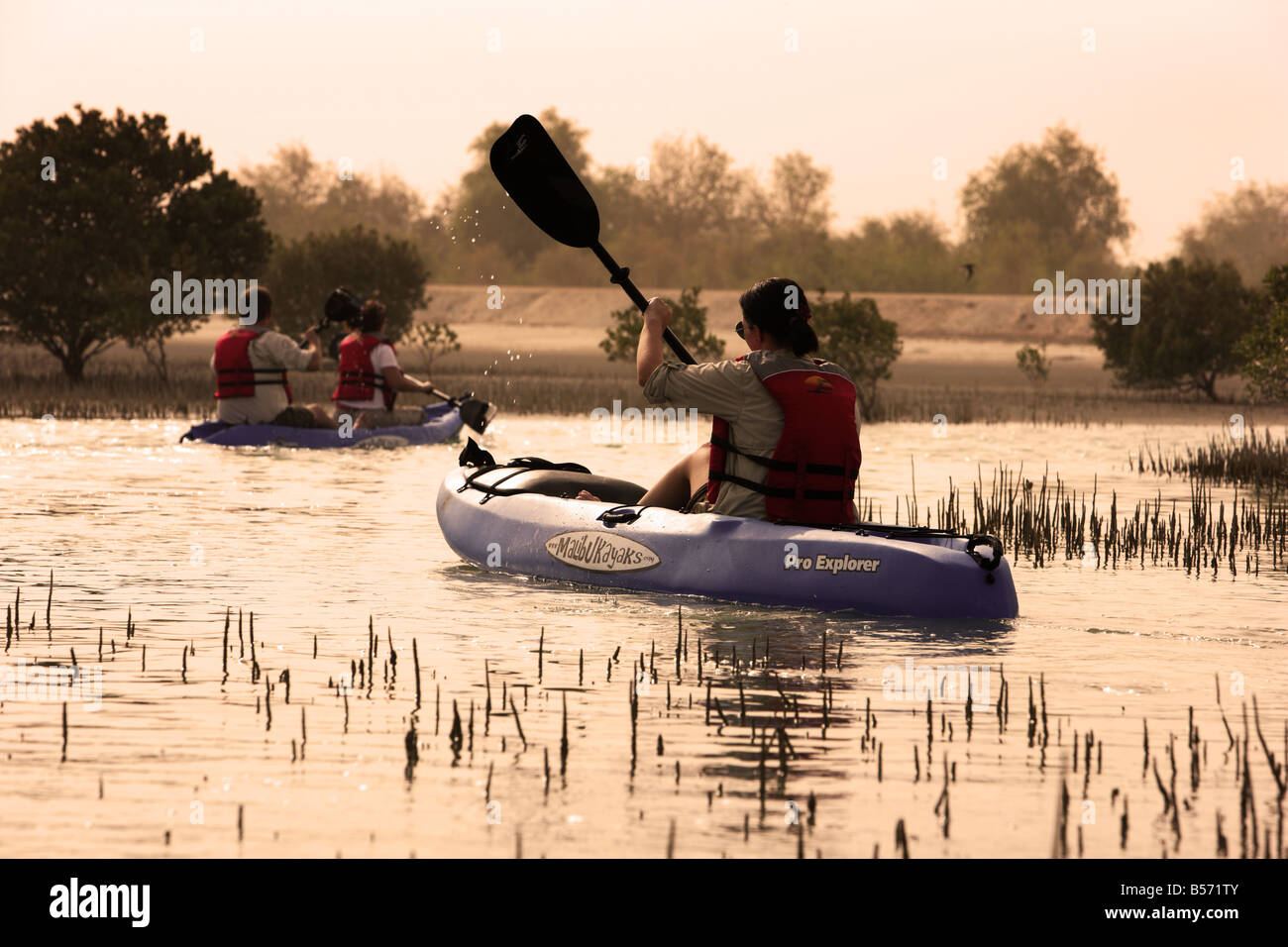 Kajak Tour im privaten Wildreservat Sir Bani Yas Insel im Persischen Golf in der Nähe von Abu Dhabi Vereinigte Arabische Emirate Stockfoto