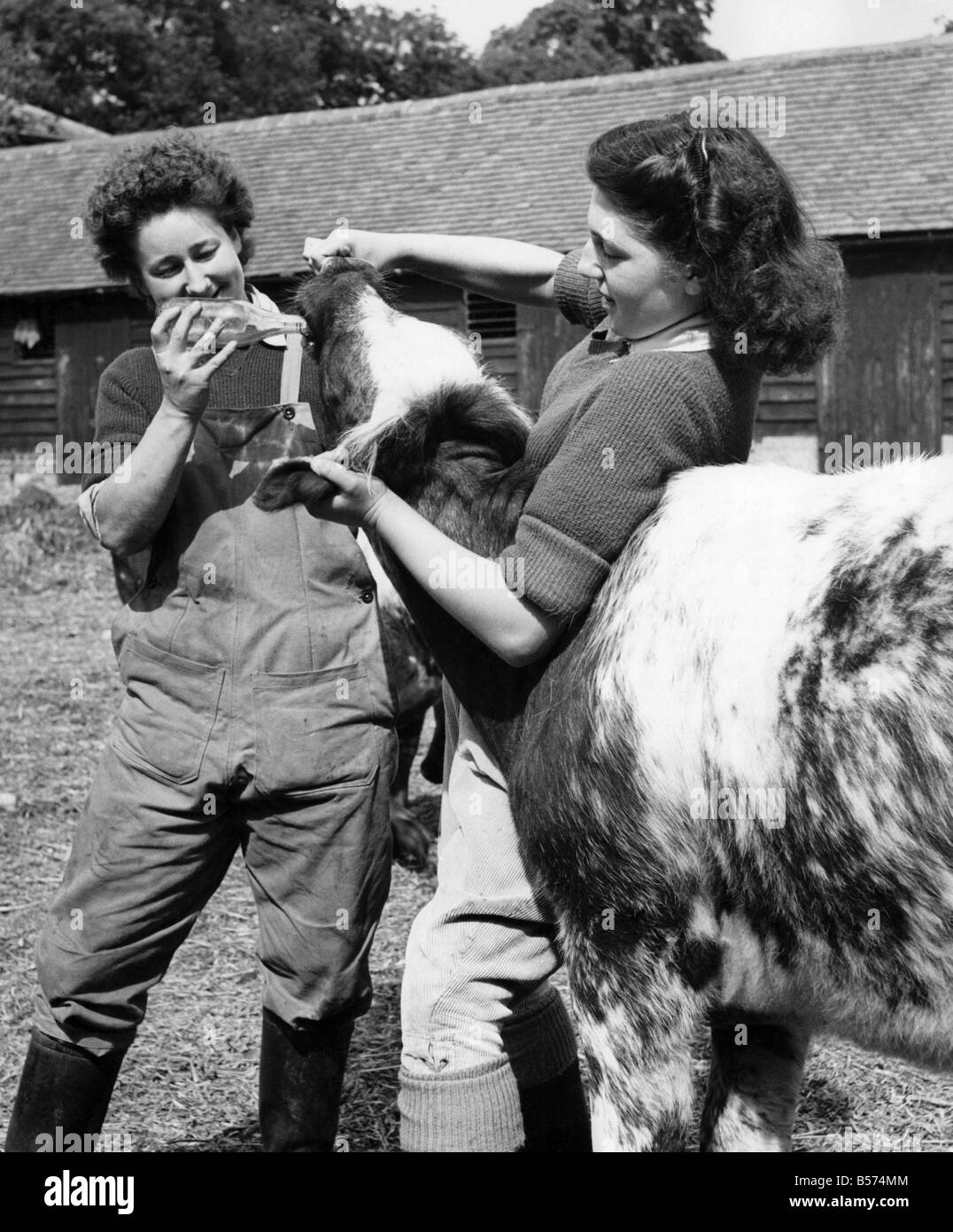 Sie haben ausgewählt landwirtschaftlichen Beruf: Es gibt eine Reihe von Mädchen, die 12 Monate Kurs in Landwirtschaft und Gartenbau am Merrist Wood, in der Nähe von Guildford Surrey Grafschaftsrat Farm Institut. 45 Studenten, Männer und Mädchen, auf der 430 Hektar große Farm lernen Milchproduktion, Rinderhaltung, Tierarzt Wissenschaft, Botanik, Zoologie, Bienenzucht. Mary Coleridge von Wimbledon und Judy Hitchcock von Tollworth sind sehr meisterhaft mit der Wade Tulip II, wen sie "strömenden" Verwaltung ein Stärkungsmittel. Juni 1949 P004511 Stockfoto