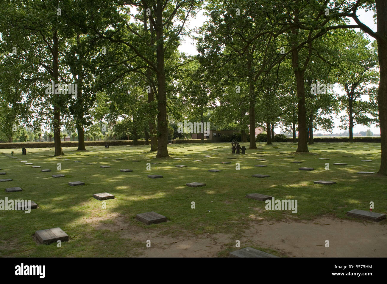 Eichen auf dem Langemarck deutschen Friedhof in Ypern auffallende, ersten Weltkriegs in Flandern, Belgien Stockfoto