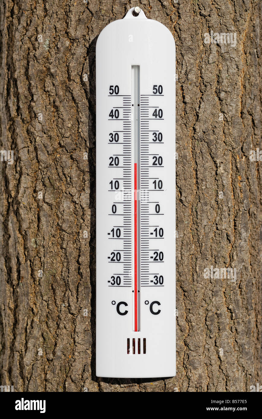 Thermometer Stockfoto