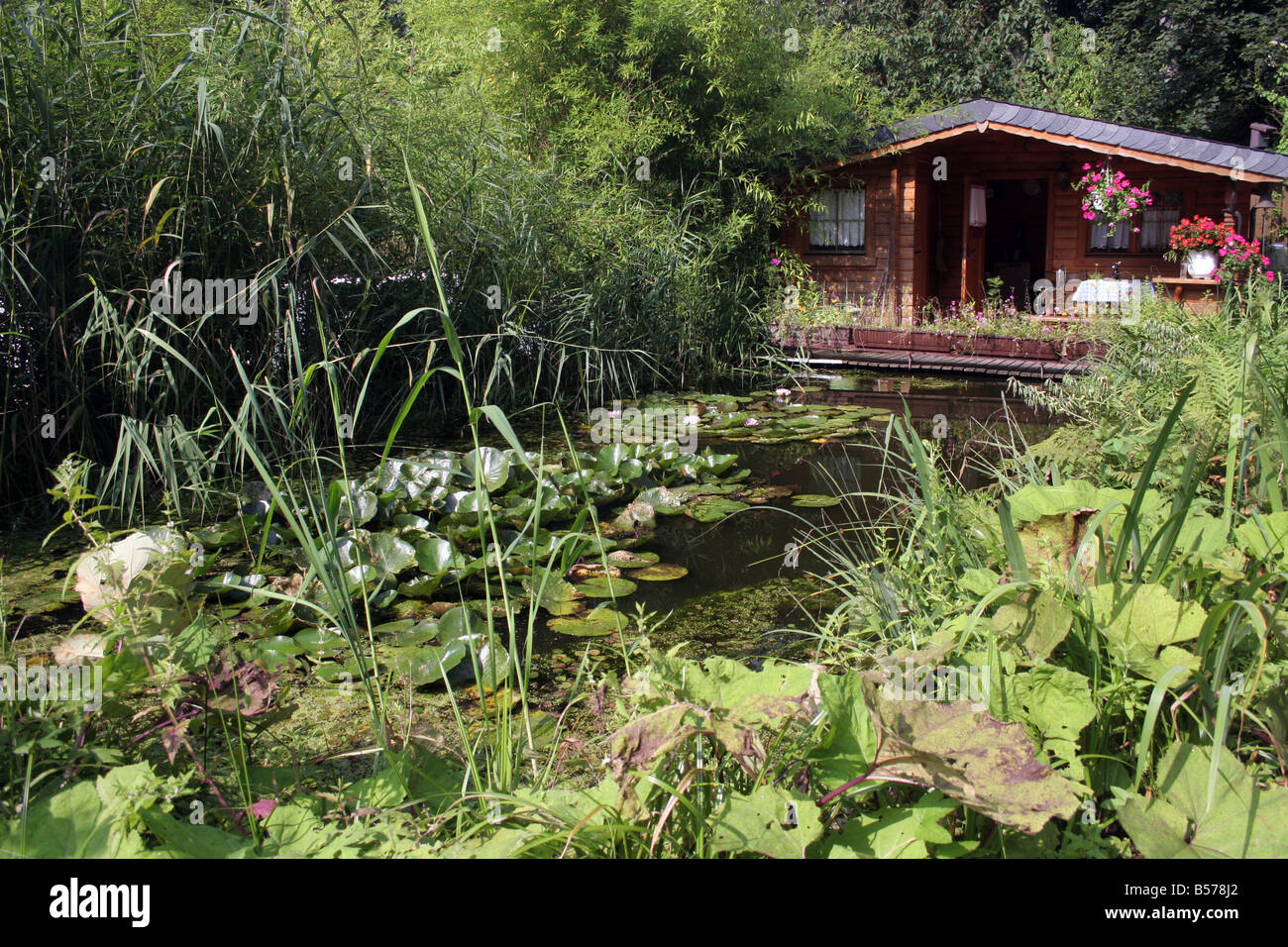 Blockhütte neben einem Natur-Garten-Teich von 75000 l Stockfoto
