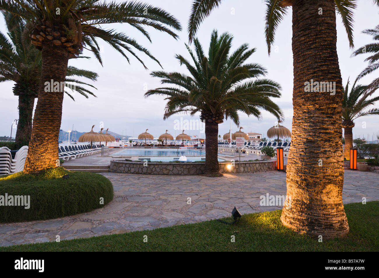 Blick durch Palmen Hafen von Pollensa, Mallorca, Spanien. Stockfoto