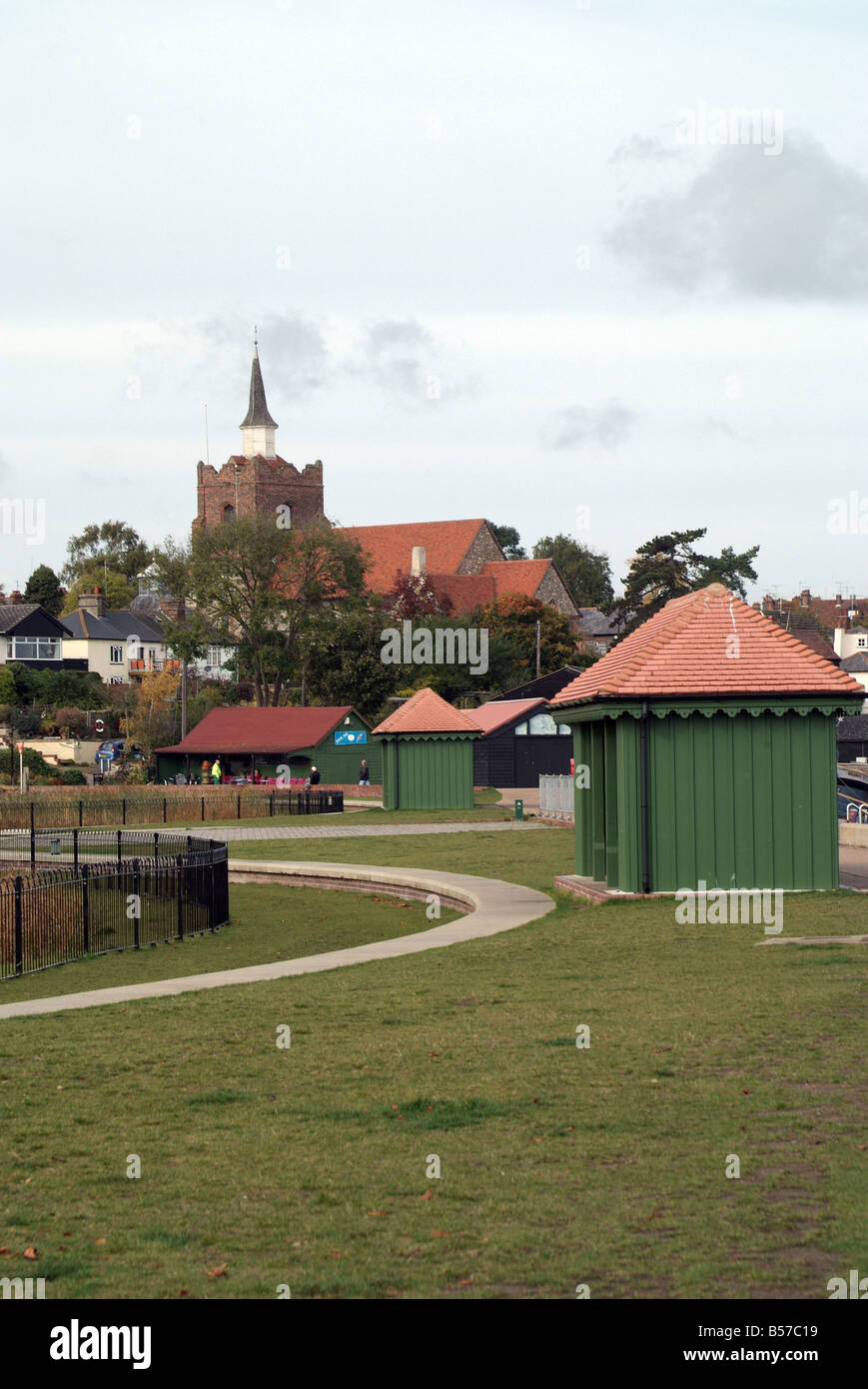 Maldon Roses Stockfoto