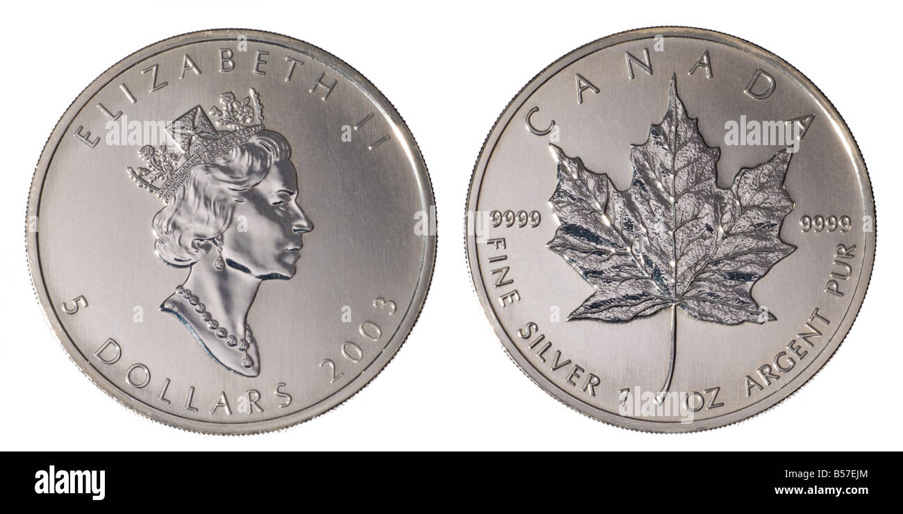 Kanadische 5 Münze des Jahres 2003. Reines.9999 Silber Reinheit. Vorder- und Rückseite Stockfoto