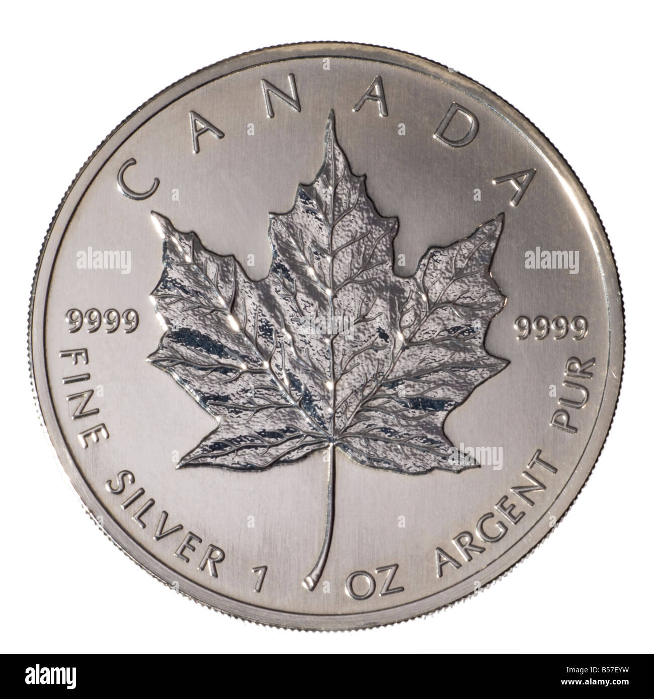 Kanadische 5 Münze des Jahres 2003. Reines.9999 Silber Reinheit. Rückgängig zu machen Stockfoto