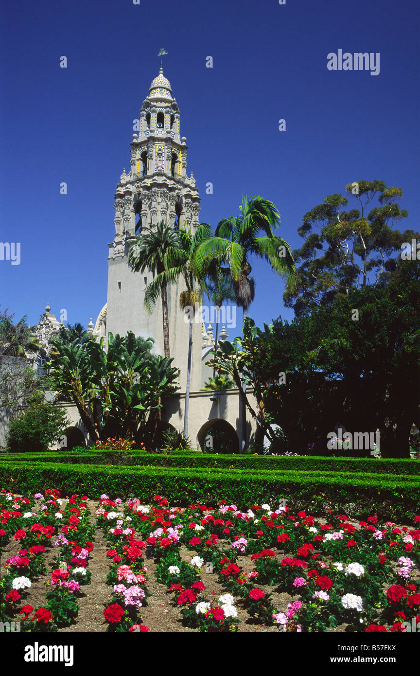 Blumen im Balboa Park, San Diego, Kalifornien Stockfoto