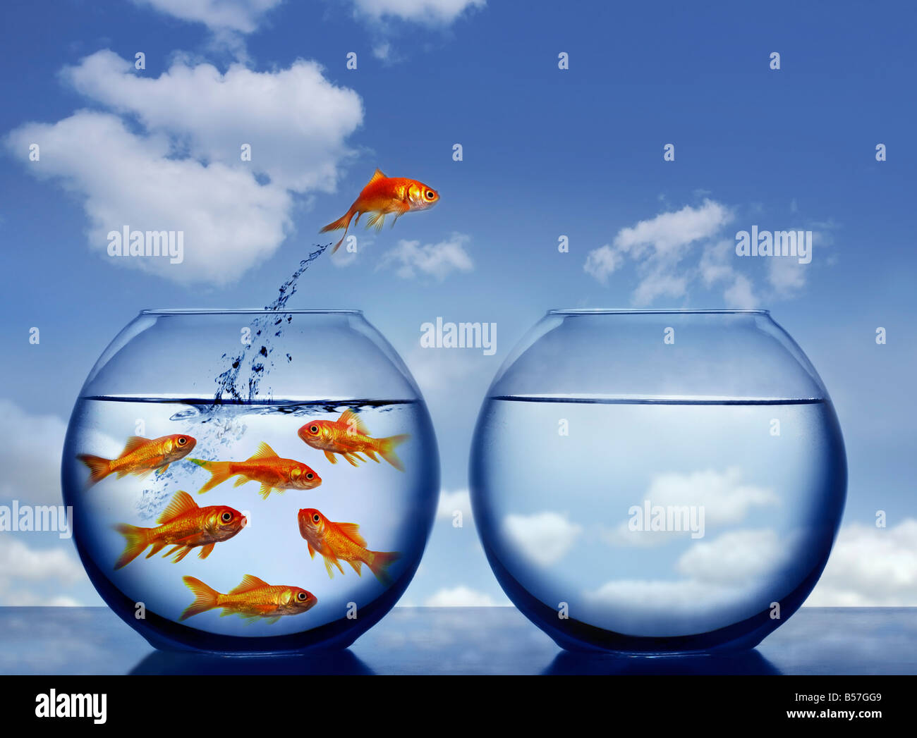Goldfisch, der von einem glas wasser springt Fotos und Bildmaterial