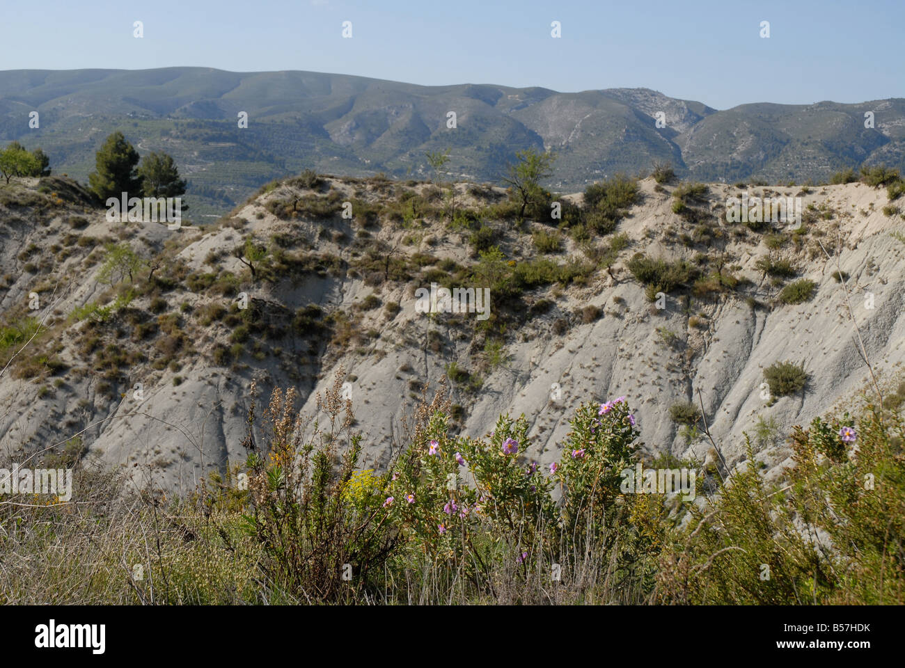 Landschaft im Valle de Ceta, in der Nähe von Quatretondeta, Comtat, Provinz Alicante, Comunidad Valenciana, Spanien Stockfoto