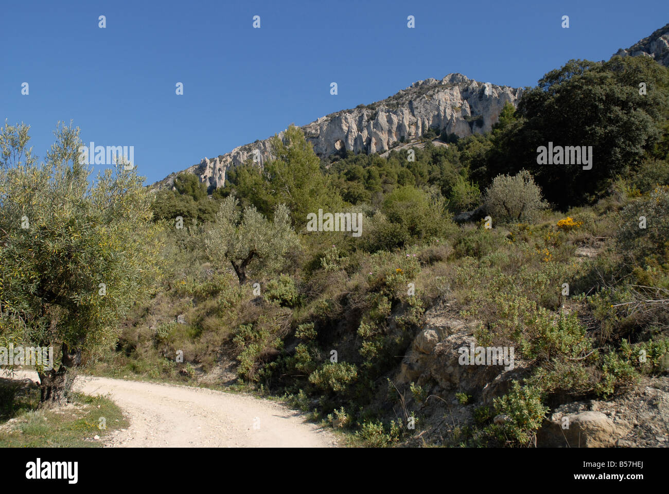 Strecke nach Els Frares Rock Zinnen, Sierra de Serrella, Comtat, Provinz Alicante, Comunidad Valenciana, Spanien Stockfoto