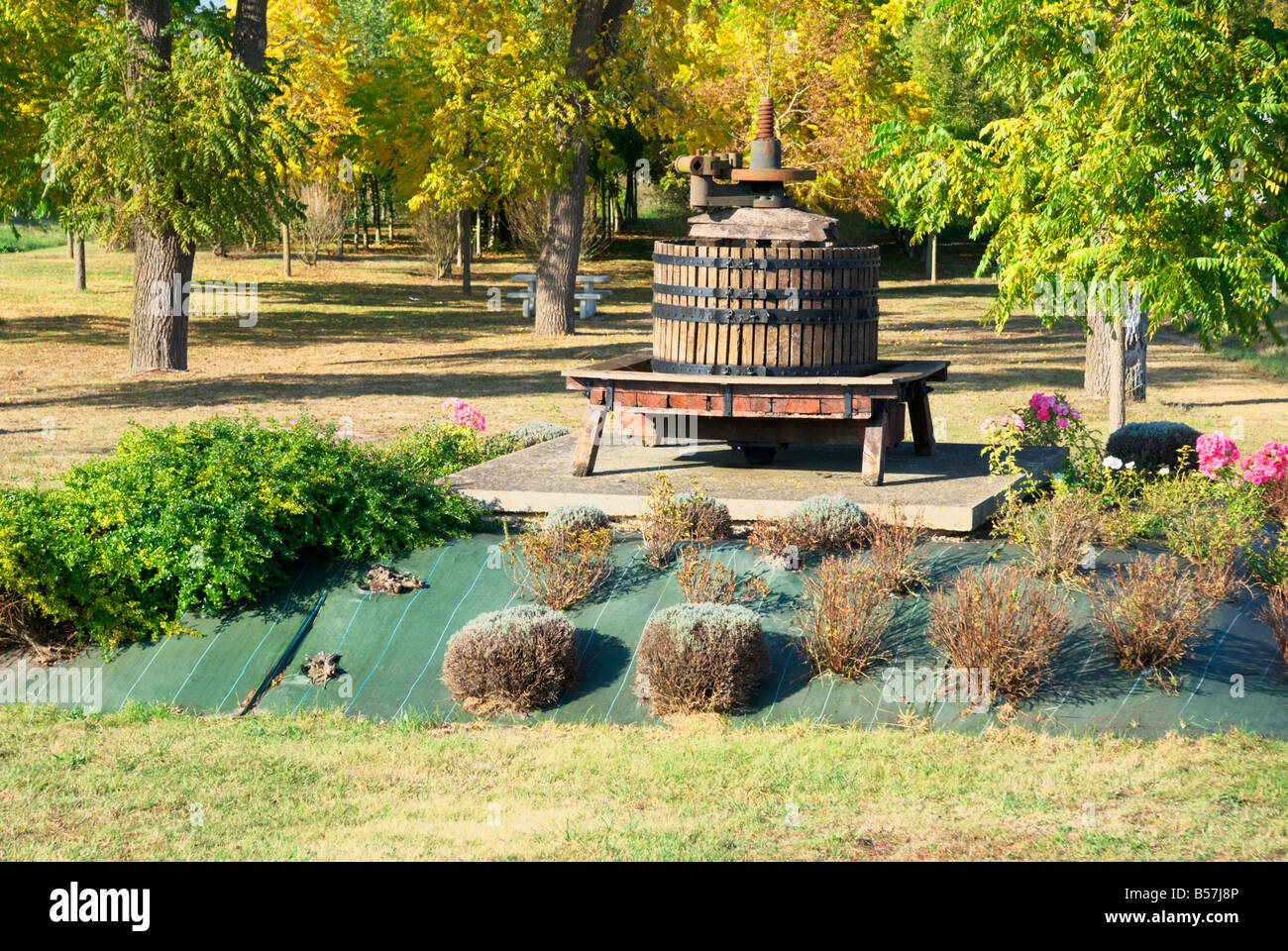 Alter Wein drücken Sie entlang einer Straße für die Dekoration in der Weinregion von Anjou (Frankreich). Stockfoto