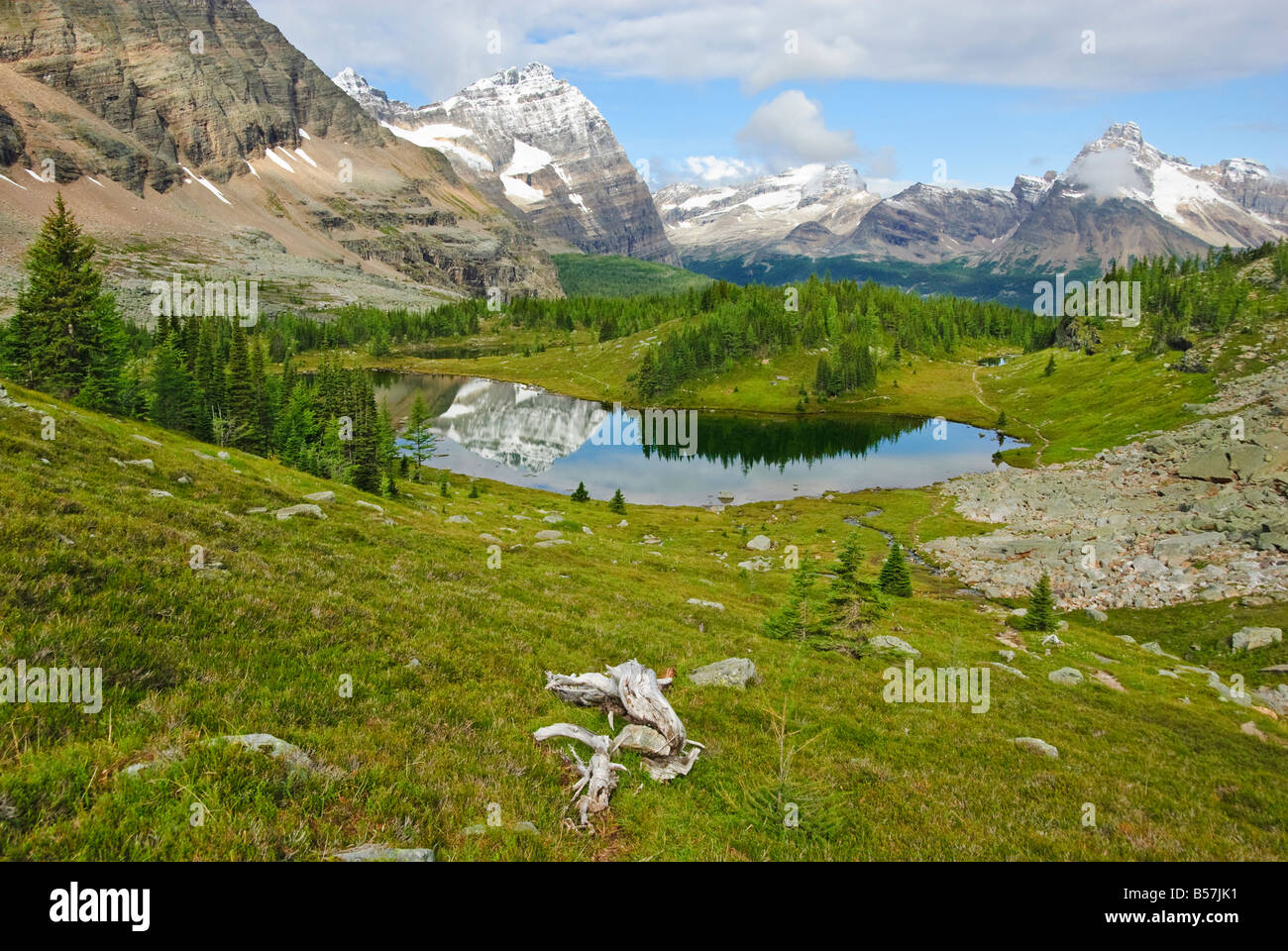 Lake O'hara Region, Yoho Nationalpark, Britisch-Kolumbien, Kanada Stockfoto Lake O'hara Region, Yoho Nationalpark, Britisch-Kolumbien, Kanada Stockfoto