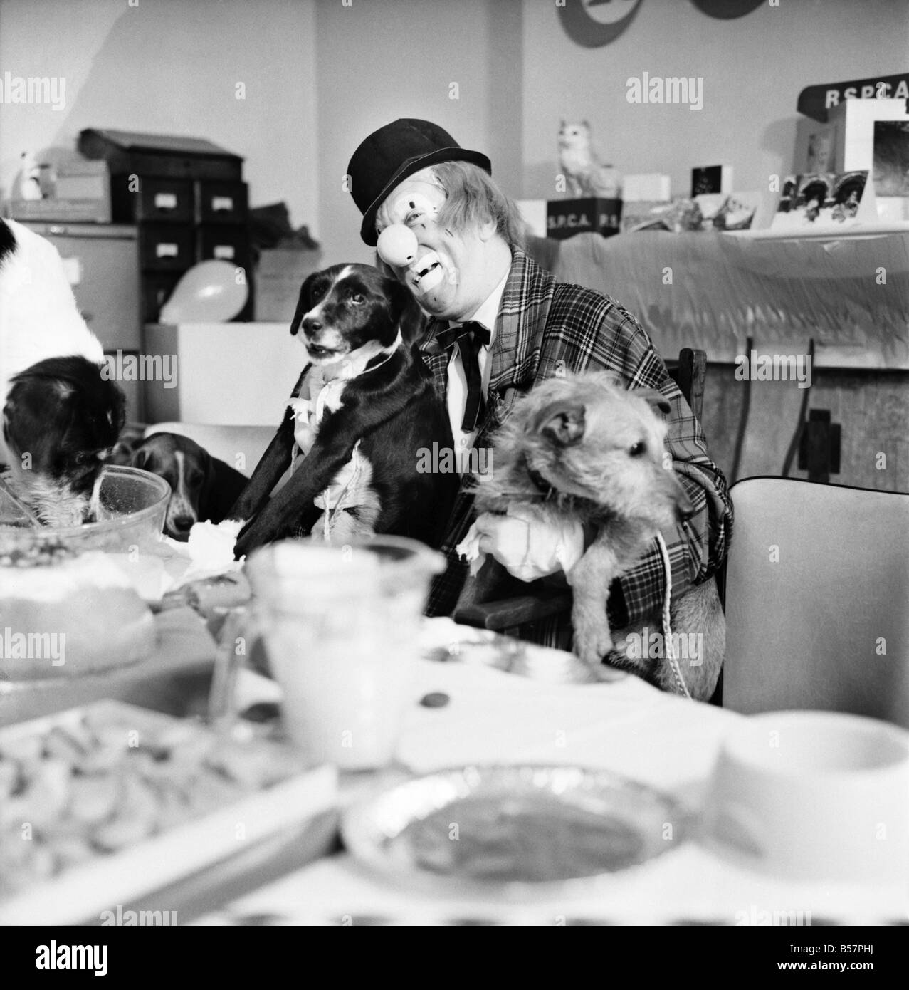 Hunde-Weihnachts-Party. "Hobo" beherbergt die Doggy Gäste genießen ein Menü mit Hundefleisch, Türkei Soße-Sauce, Kekse und Schokolade-Tropfen. Dezember 1970; 70-11583-006 Stockfoto