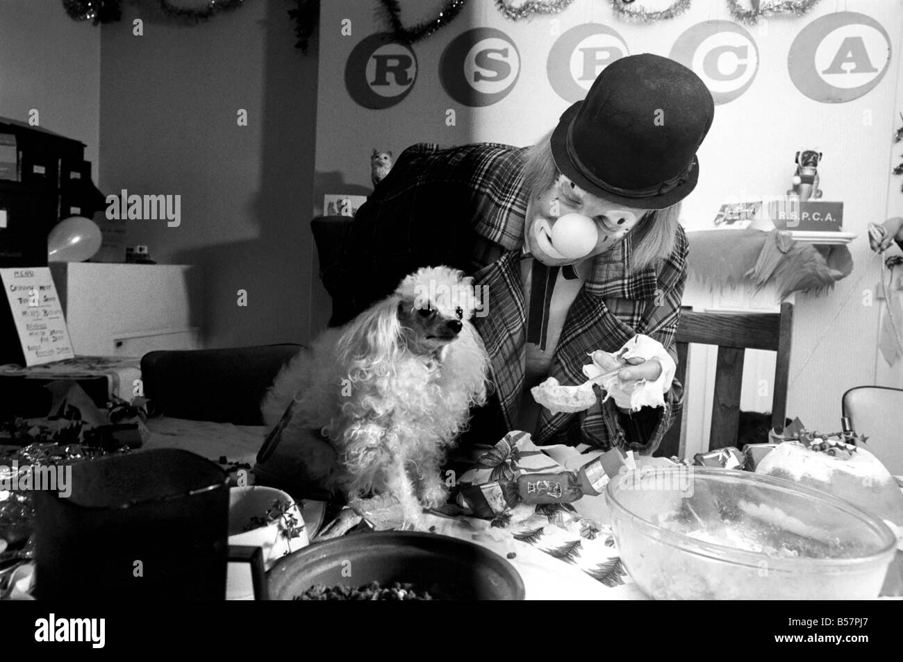 Hunde-Weihnachts-Party. "Hobo" beherbergt die Doggy Gäste genießen ein Menü mit Hundefleisch, Türkei Soße-Sauce, Kekse und Schokolade-Tropfen. Dezember 1970; 70-11583-015 Stockfoto