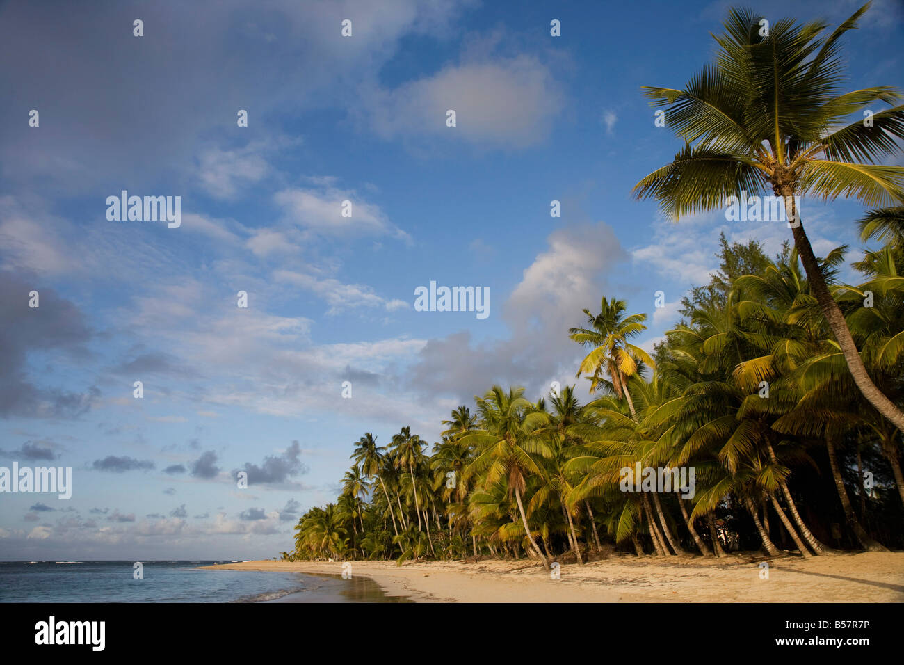 Las Terrenas, Halbinsel Samaná, Dominikanische Republik, Karibik, Karibik, Mittelamerika Stockfoto