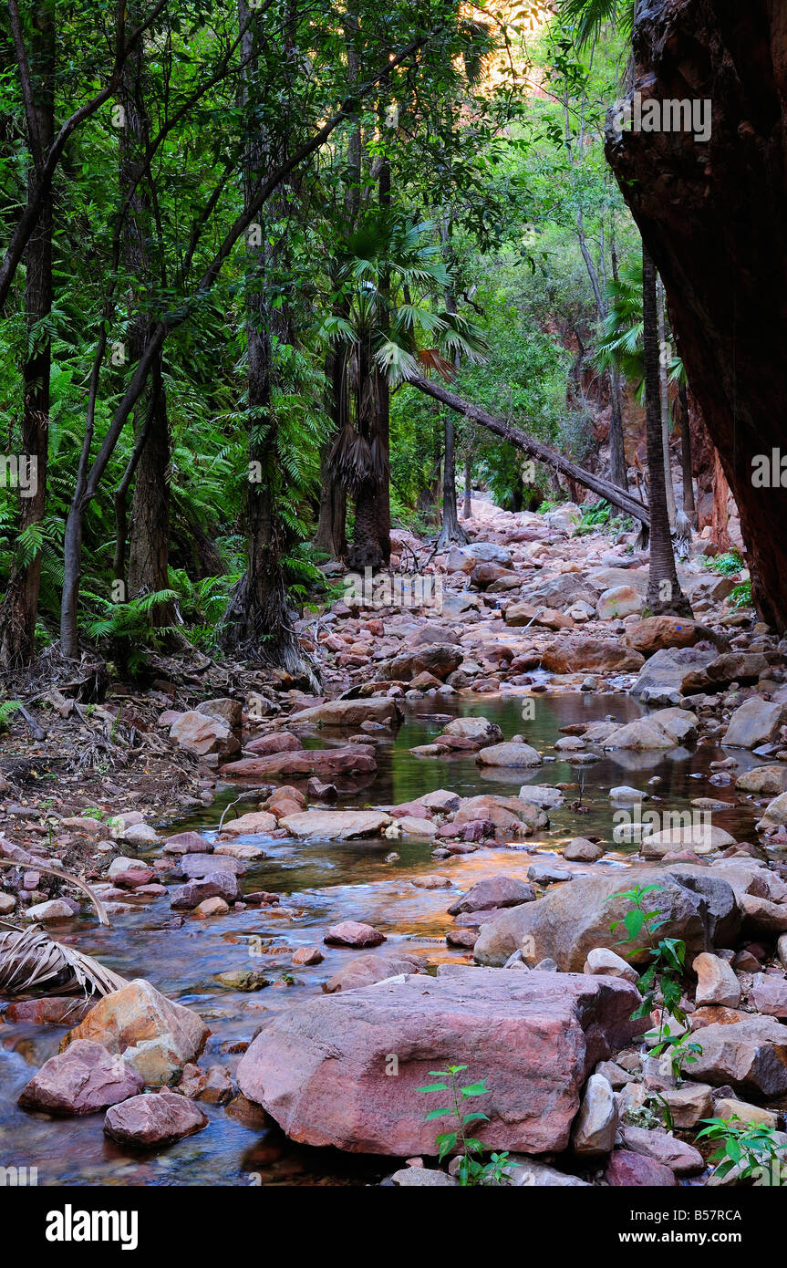 El Questro Gorge, Kimberley, Western Australia, Australien, Pazifik Stockfoto