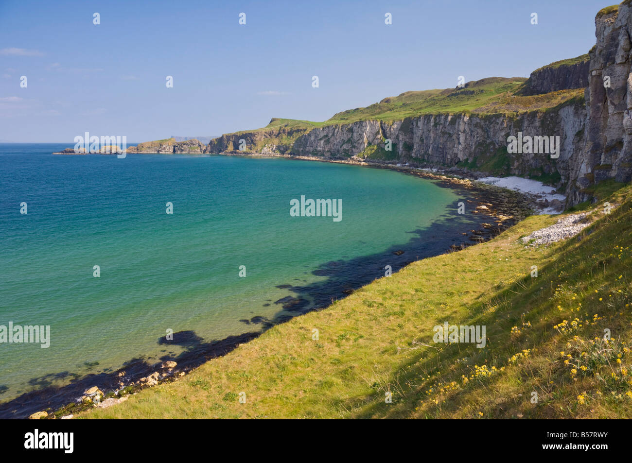 Carrick Island in Larrybane Bucht, an der North Antrim Causeway Küste Weg, County Antrim, Ulster, Nordirland Stockfoto