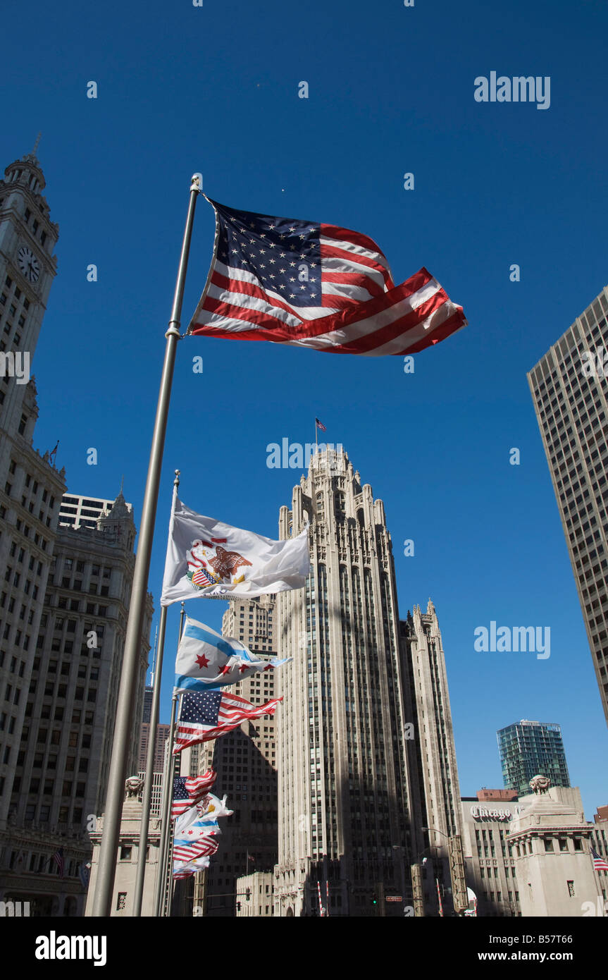 Fahnen, Chicago, Illinois, Vereinigte Staaten von Amerika, Nordamerika Stockfoto