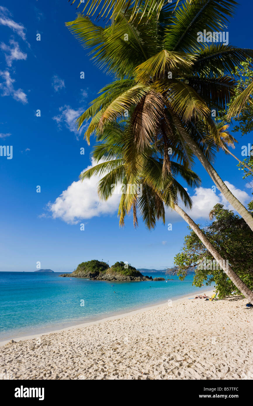 Die weltberühmten Strand am Trunk Bay, St. John, US Virgin Islands, West Indies, Karibik, Mittelamerika Stockfoto