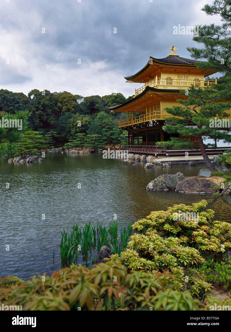 Kinkaku-Ji-Tempel (Rokuon-Ji) (Goldener Pavillon), Kyoto, Japan, Asien Stockfoto