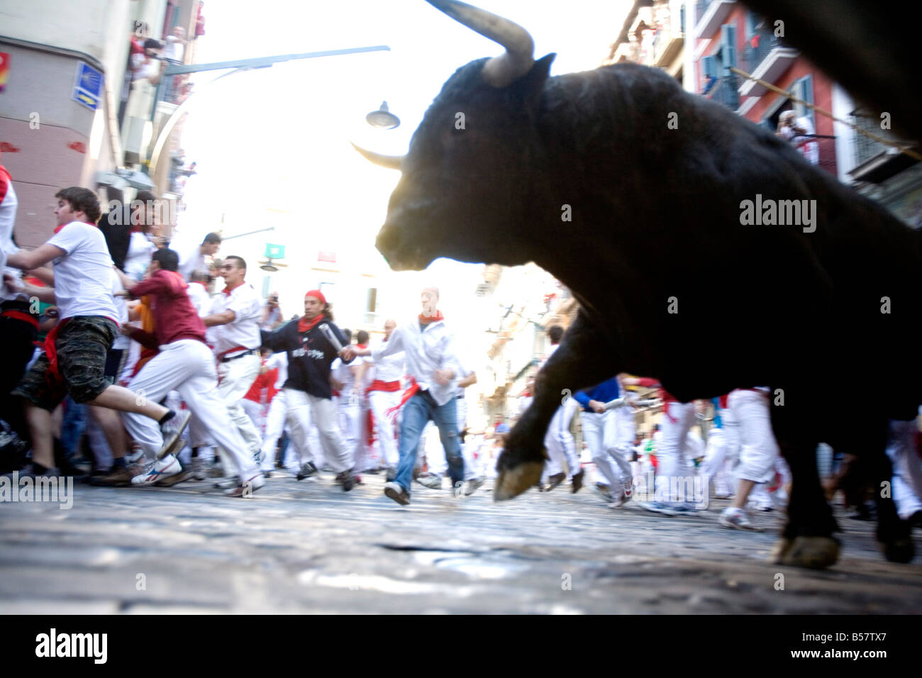 Laufen der Stiere (Encierro), San Fermin Festival, Pamplona, Navarra, Spanien, Europa Stockfoto