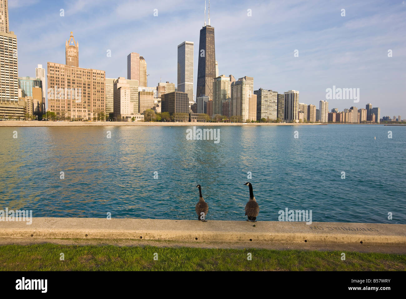 In der Nähe von North Skyline, Chicago, Illinois, Vereinigte Staaten von Amerika, Nordamerika Stockfoto