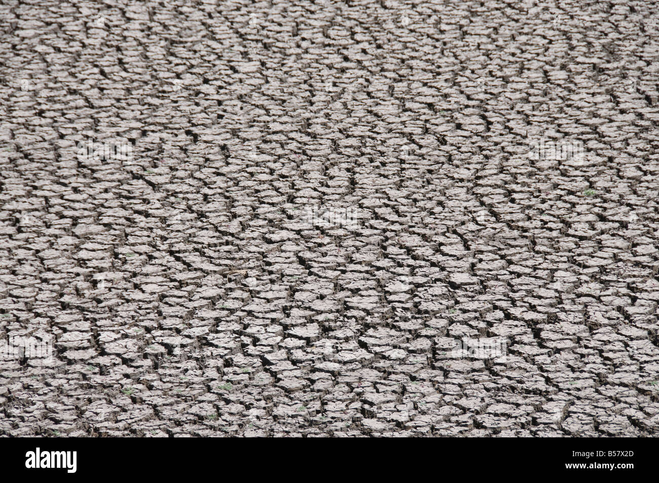 Rissige Flussbett in der Dürre, Mexiko, Nordamerika Stockfoto