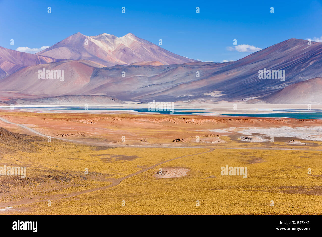 Das Altiplano, Los Flamencos Nationalreservat, Atacama-Wüste, Antofagasta Region Norte Grande, Chile, Südamerika Stockfoto