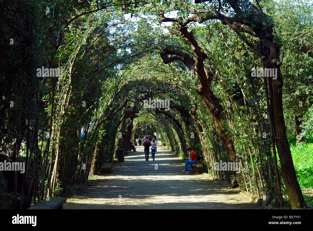 31+ Bilder Von Boboli-Garten, Der boboli garten in florenz, auch als