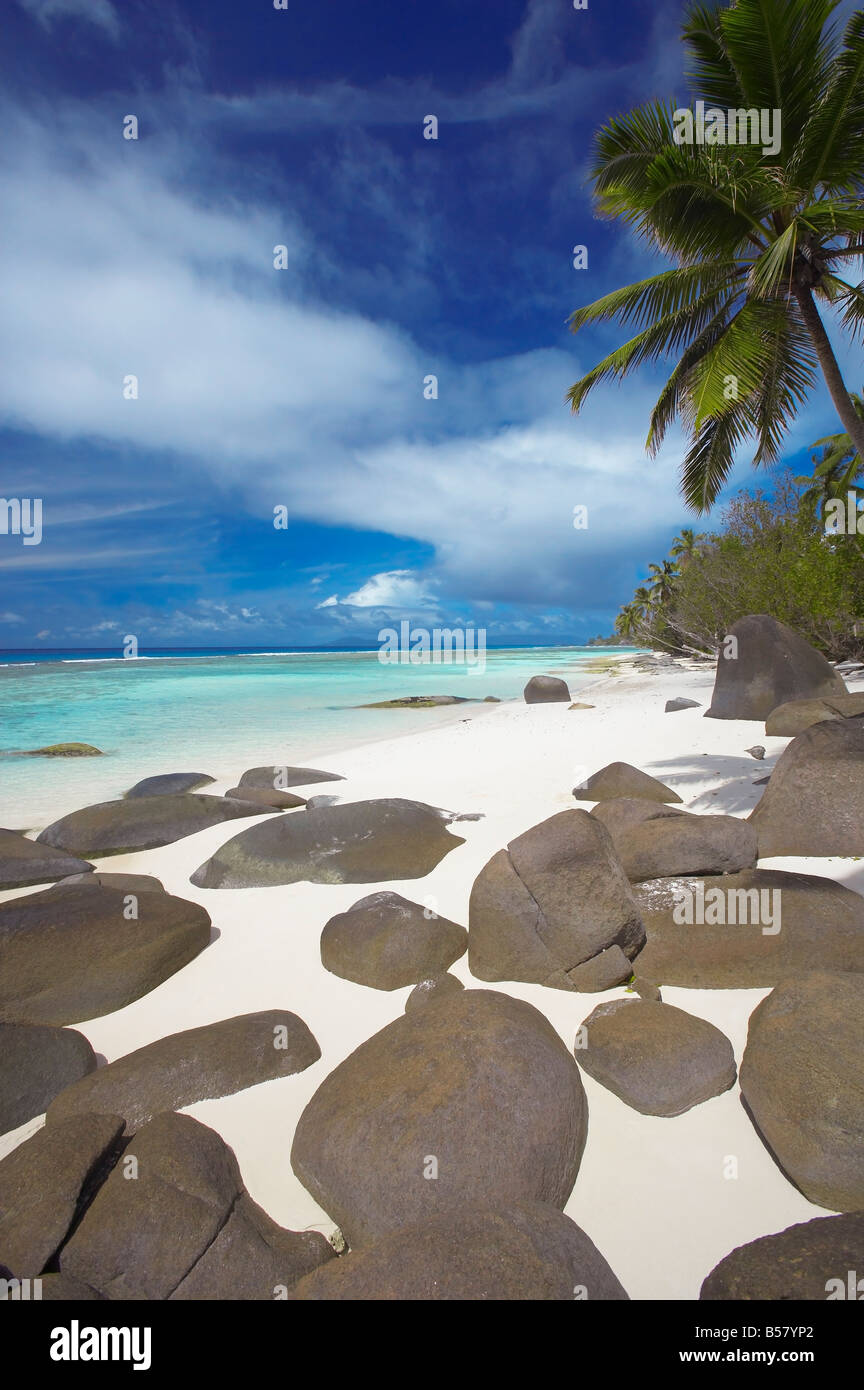 Felsen und Palme am tropischen Strand, Seychellen, Indischer Ozean, Afrika Stockfoto