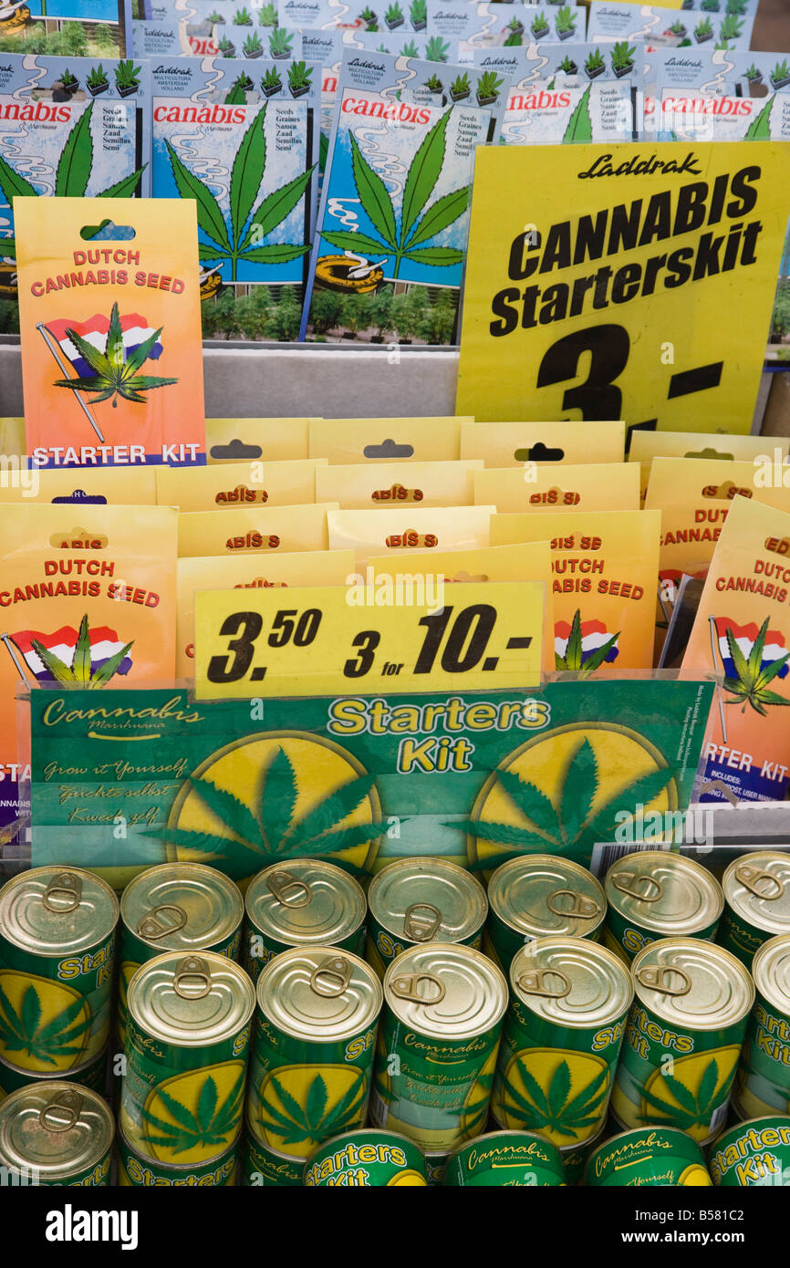Cannabis-Samen-Starter-Kits, Bloemenmarkt (Blumenmarkt), Amsterdam, Niederlande, Europa Stockfoto