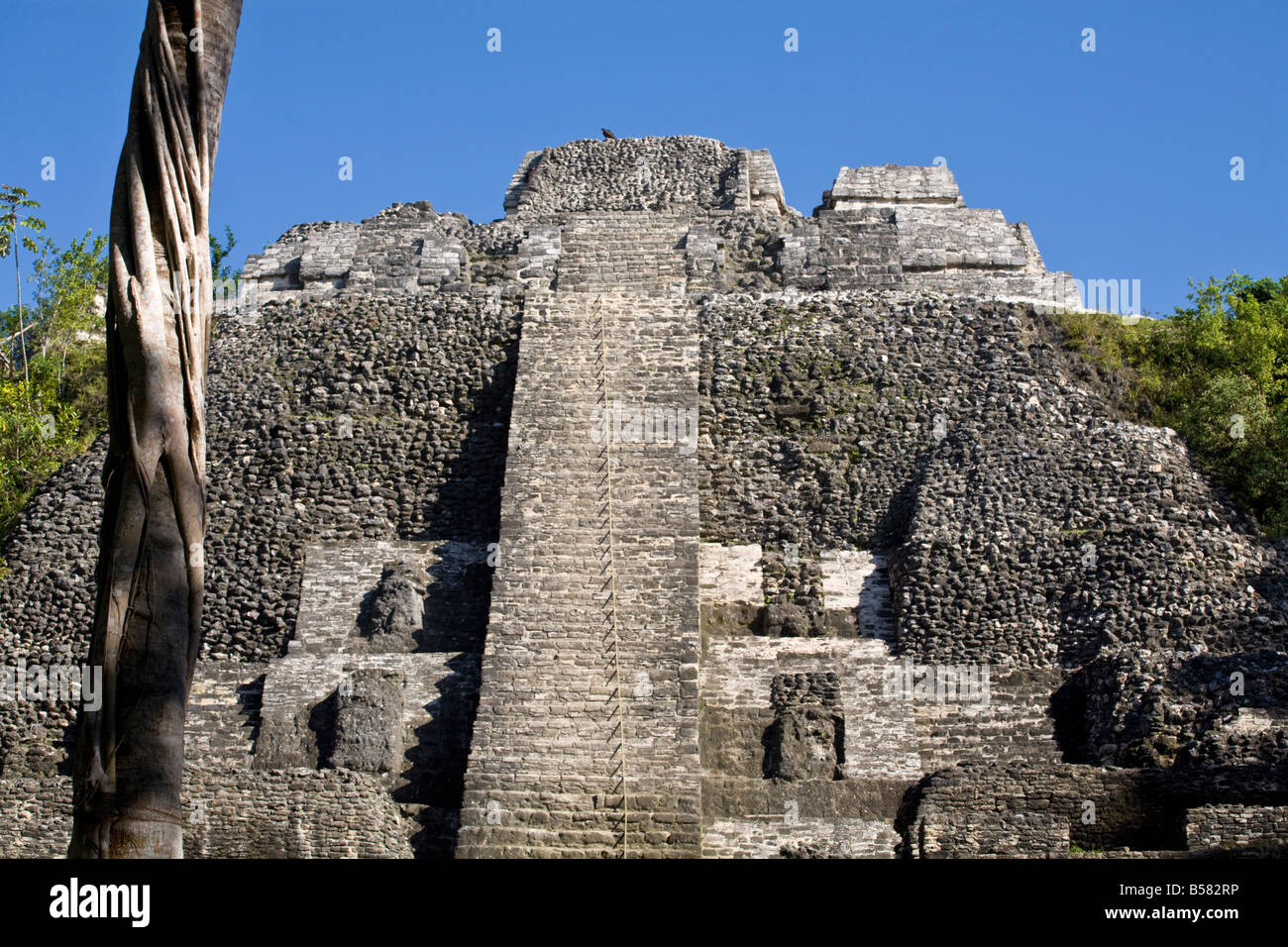 Hoher Tempel (Struktur N10-43), der höchste auf der Maya-Stätte Lamanai, Lamanai, Belize, Mittelamerika Stockfoto