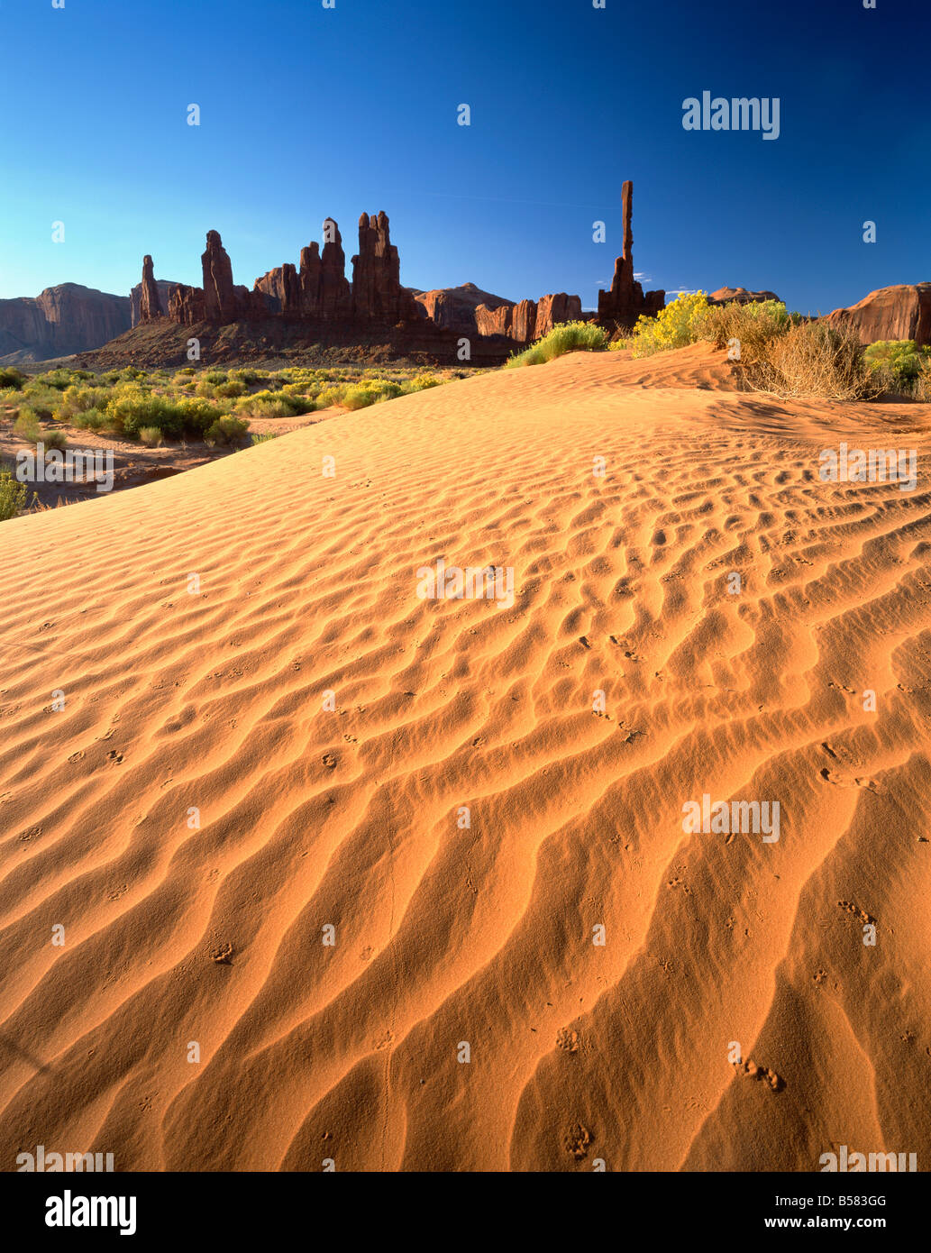 Totempfahl und Sand Springs, Monument Valley Tribal Park, Arizona, Vereinigte Staaten von Amerika, Nordamerika Stockfoto