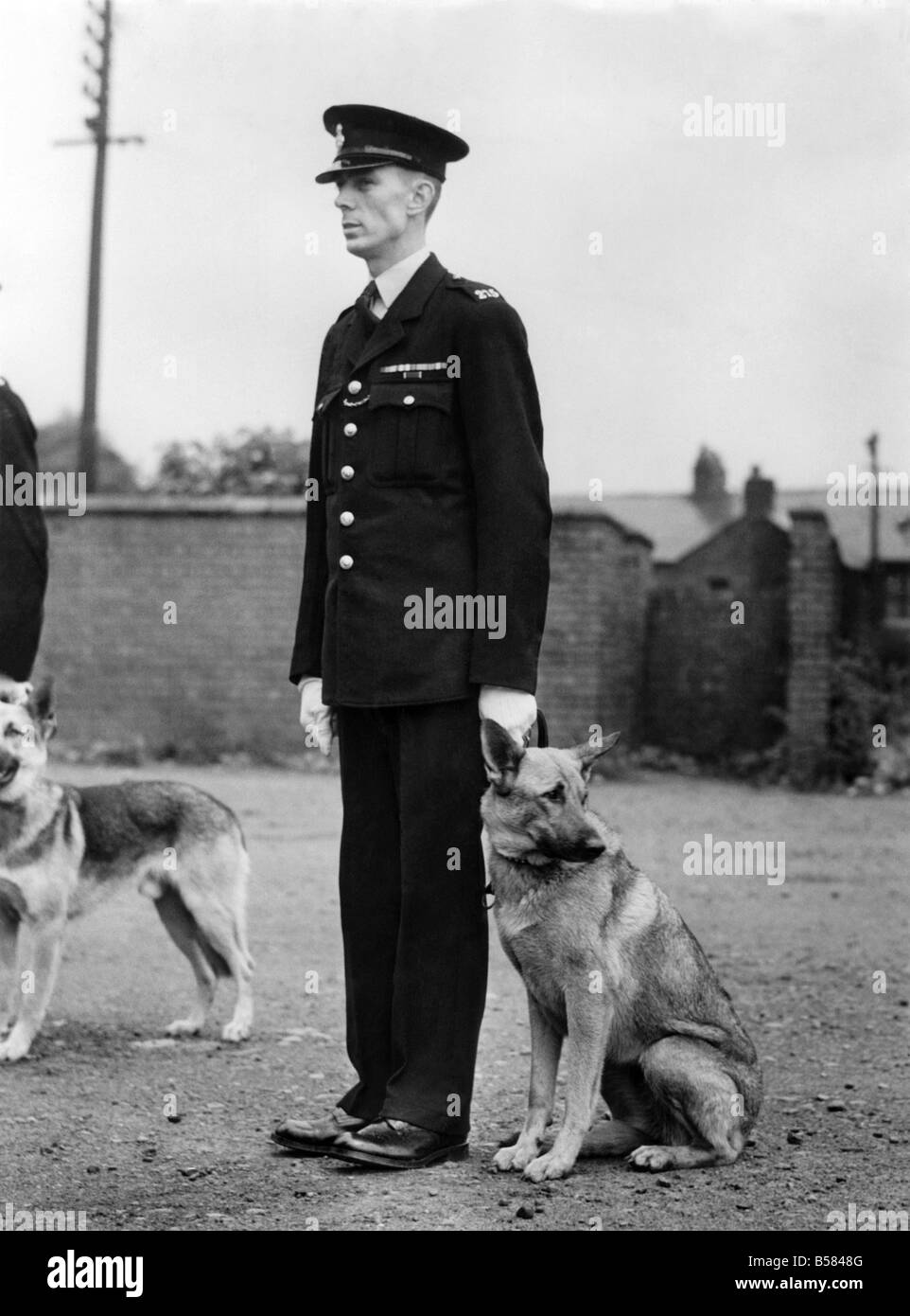 Salford Stadt Polizeiinspektion. Wachtmeister Shaw mit Polizeihund "Lady Peggy". Hier kommen er Chef! Juni 1952 P005419 Stockfoto